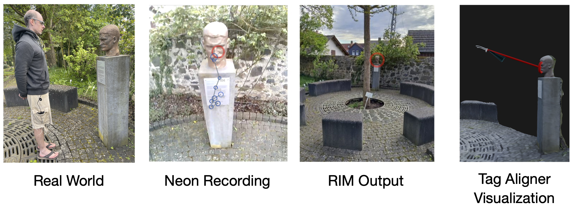 Comparison of the different ways to project Neon data into various coordinate systems