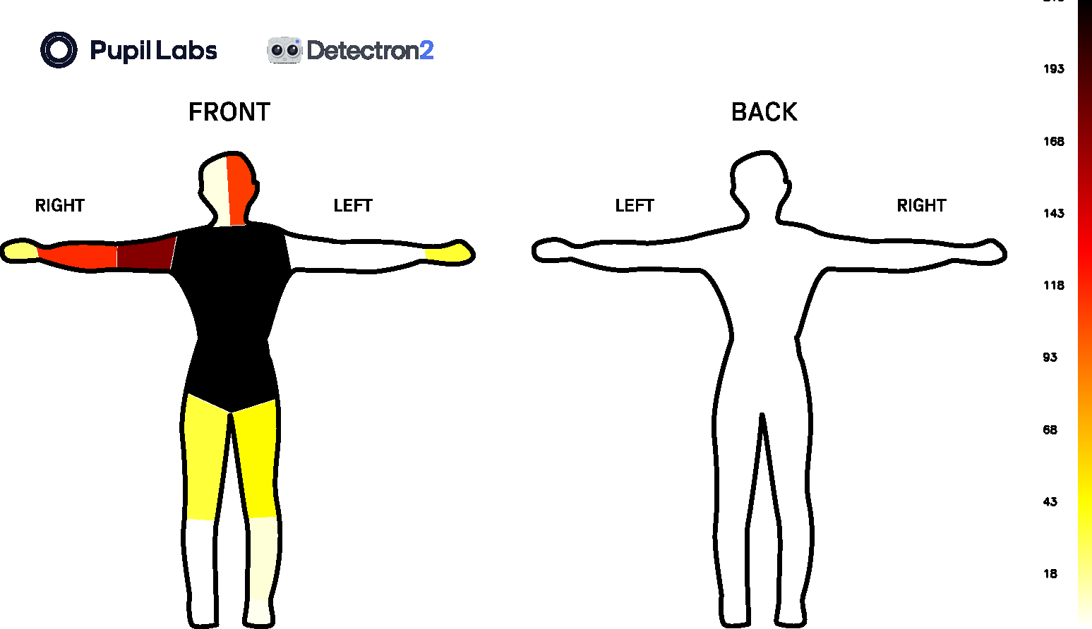 Densepose Results