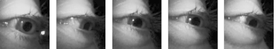 Eye blink animation