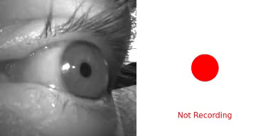 Toggling a recording on/off with blinks