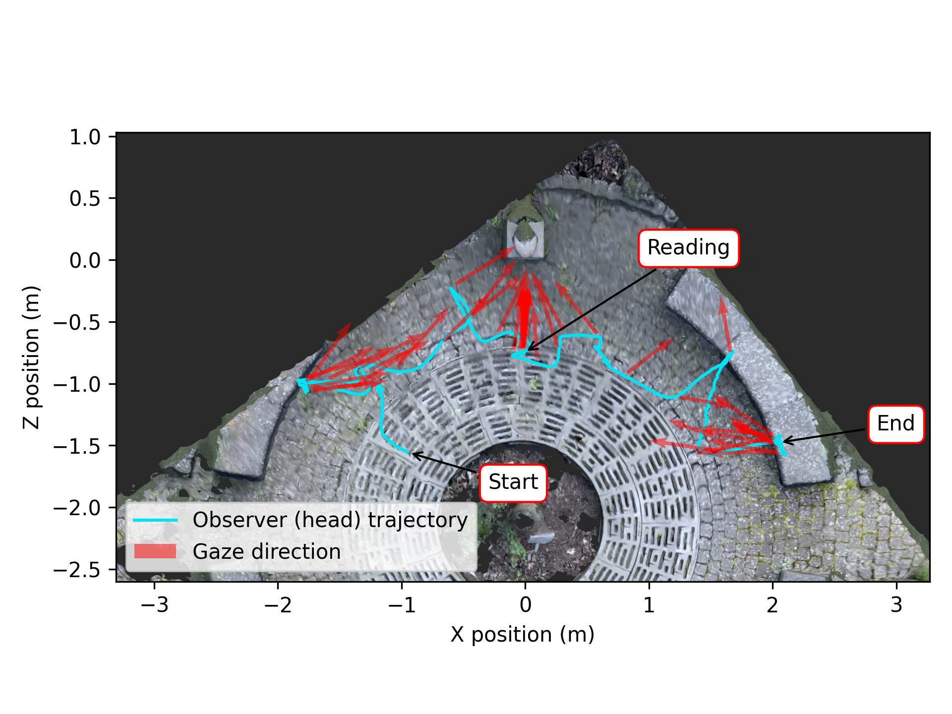 Overhead projection of observer trajectory and gaze mapped onto statue scene