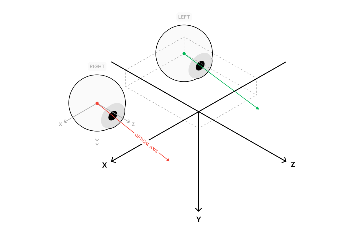 Coordinate systems of 3D eye poses