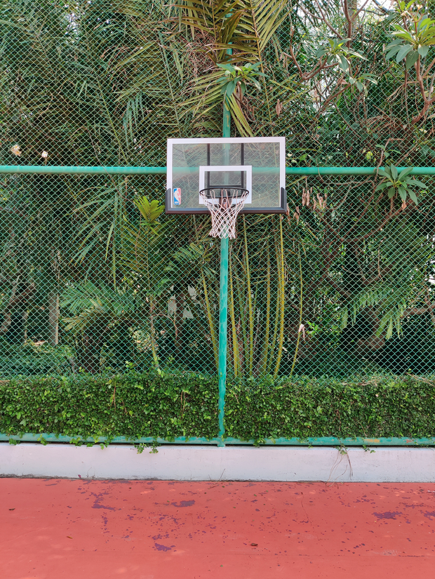 Basketball Reference Image