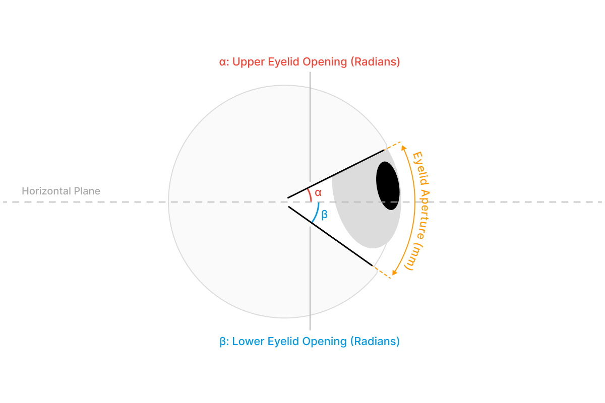 Eye openness visualisation