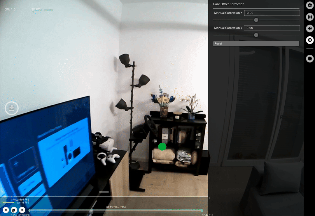Gaze offset correction screen in Neon Player